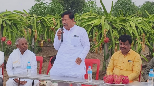 ಡ್ರ್ಯಾಗನ್ ಹಣ್ಣಿನ ಮಹತ್ವ