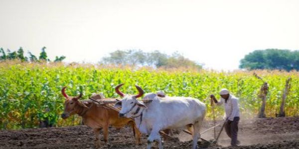 ಅನ್ನದಾತರಿಂದ ಆರ್ಥಿಕ ಮುಂಚೂಣಿಯತ್ತ ಆಧುನಿಕ ಭಾರತ