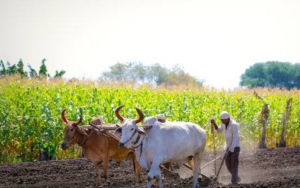Agri