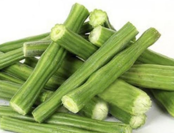 Drum stick
