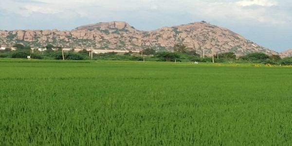ಕೊಪ್ಪಳ : ನಾಳೆ ಶ್ರಾವಣ ಶನಿವಾರ ತೇರಿನ ಹನುಮಂತರಾಯ ಜಾತ್ರೆ