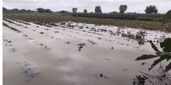 ಮಹಾರಾಷ್ಟ್ರದಲ್ಲಿ ಮಳೆ ಅನಾಹುತ : ಏಳು ಮಂದಿ ಸಾವು