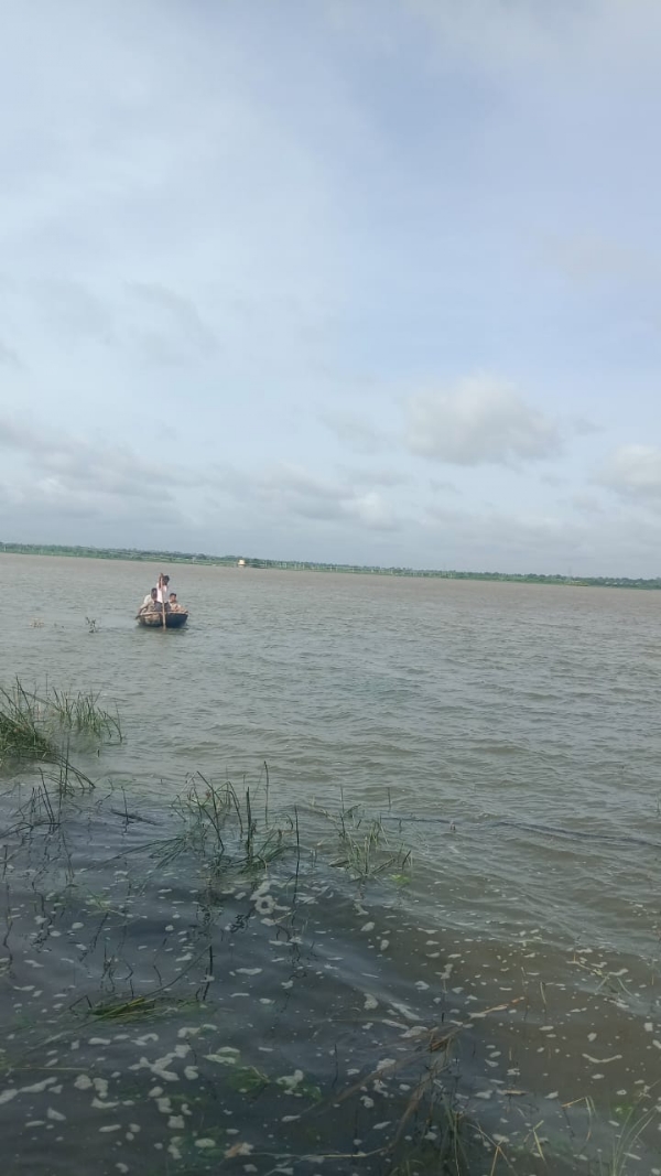 ಮೊಸಳೆ