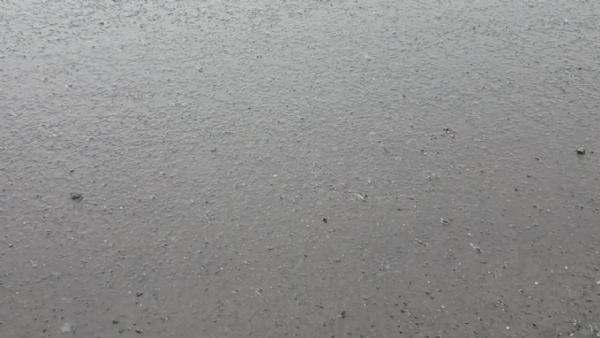 ಡೋಣಿ