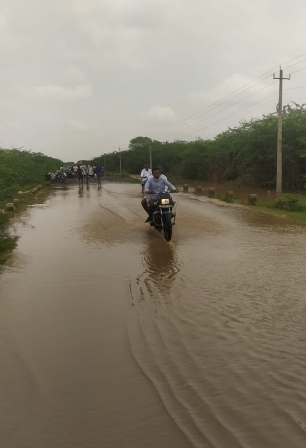 ಡೋಣಿ
