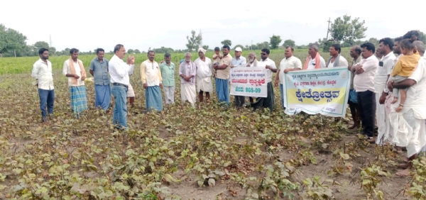 ಕೊಪ್ಪಳ : ಹಂದ್ರಾಳ ಗ್ರಾಮದಲ್ಲಿ ಹೆಸರು ಬೆಳೆಯ ಕ್ಷೇತೋತ್ಸವ