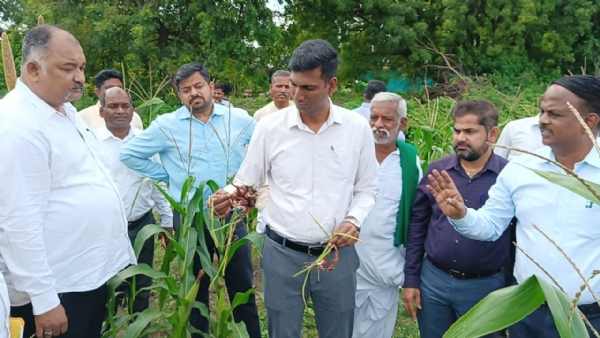 ಡಿಸಿ