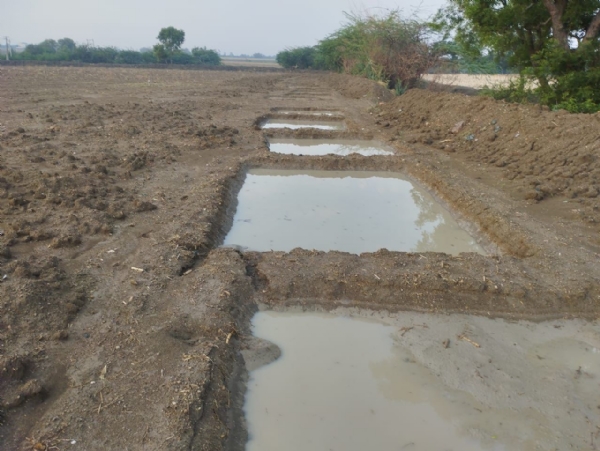 ಪೋಟೋ