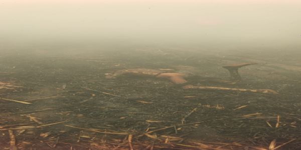 ವಿಜಯಪುರದಲ್ಲಿ ವ್ಯಕ್ತಿ ಸಜೀವ ದಹನ