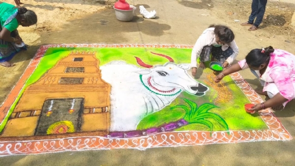 ಚಿತ್ರ - ಕೆಜಿಎಫ್ ನಗರದಲ್ಲಿ ಸಂಕ್ರಾಂತಿ ಹಬ್ಬದ ಅಂಗವಾಗಿ ಕೆಎನ್‌ಜೆಎಸ್ ಬ್ಲಾಕ್‌ನಲ್ಲಿ ಮಹಿಳೆಯರಿಗಾಗಿ ಶುಕ್ರವಾರ ರಂಗೋಲಿ ಏರ್ಪಡಿಸಲಾಗಿತ್ತು.