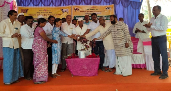 ಫೋಟೋ ಫೋಟೋ