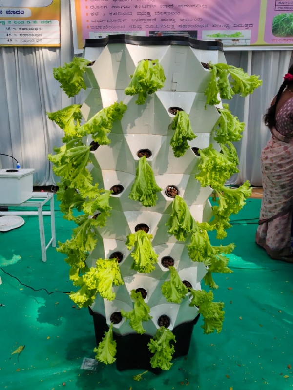 ತೇರು ಮೈದಾನದಲ್ಲಿ ತೋಟಗಾರಿಕೆ ಇಲಾಖೆಯಿಂದ ಫಲ-ಪುಷ್ಪ ಪ್ರದರ್ಶನ-2026