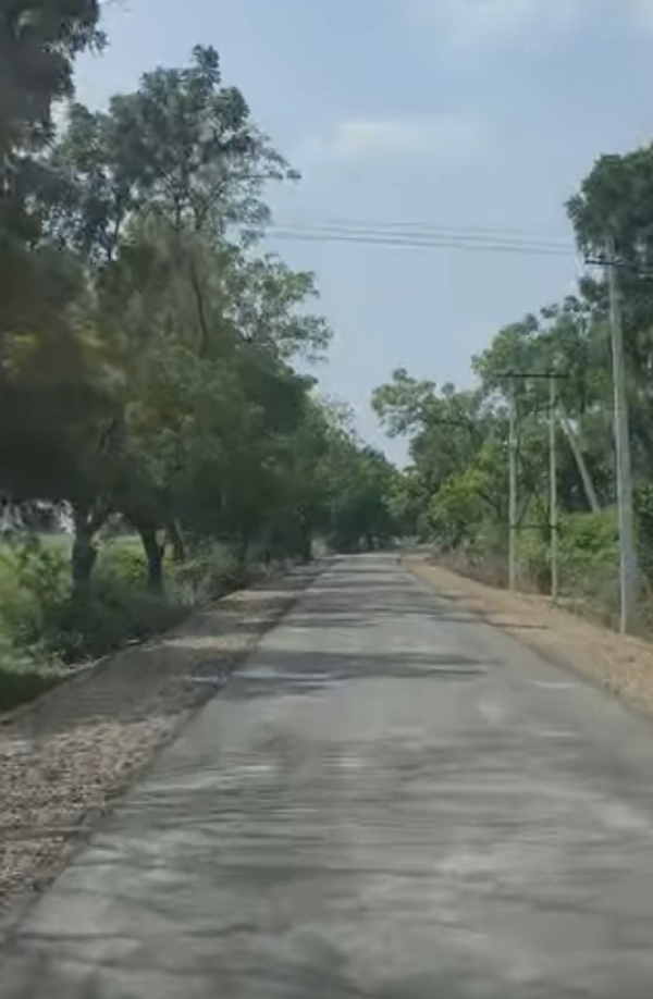 ಹೊಸ ರಸ್ತೆ