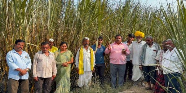 ಅರ್ಜುನಗಿಯಲ್ಲಿ 6 ಎಕರೆ 45 ಗುಂಟೆ ಕಬ್ಬು ಬೆಂಕಿಗಾಹುತಿ: ₹15 ಲಕ್ಷ ಪರಿಹಾರಕ್ಕೆ ಬಿ.ಡಿ. ಪಾಟೀಲ ಆಗ್ರಹ