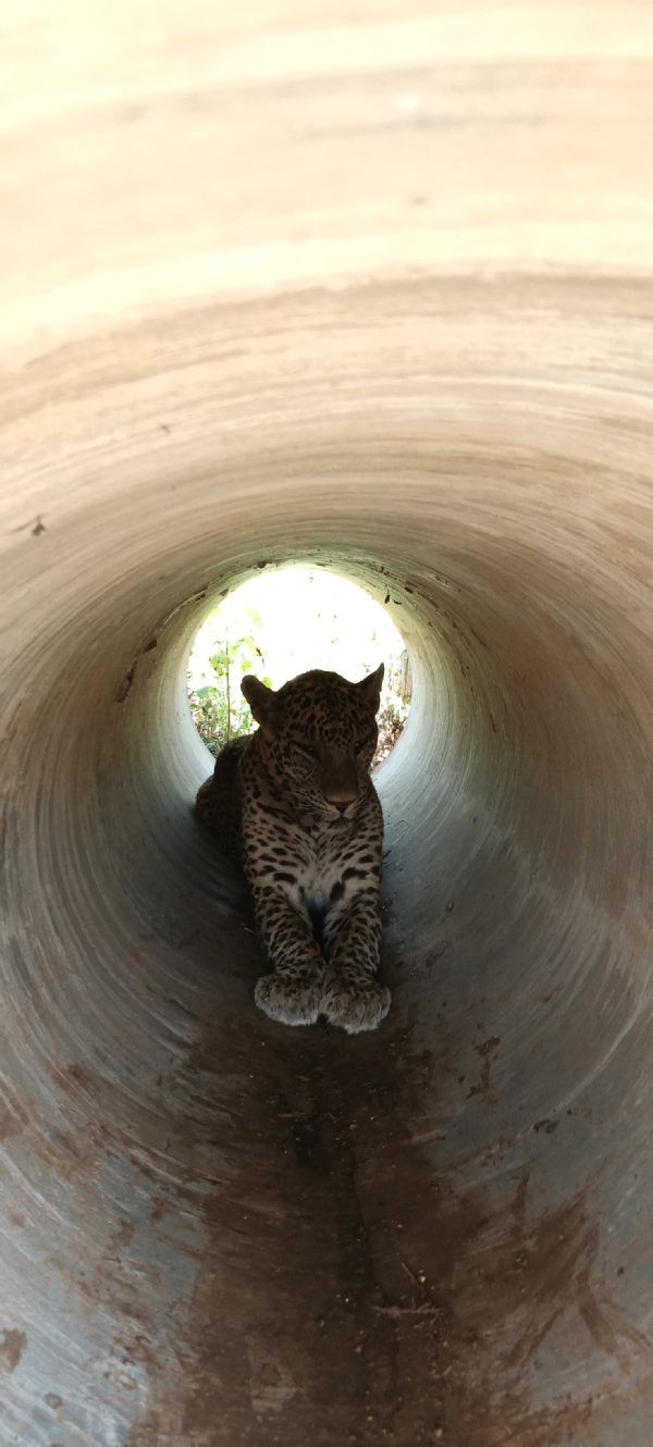 ಫೋಟೋ ಫೋಟೋ
