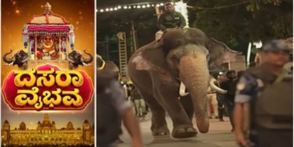 ಮೈಸೂರು ದಸರಾ ಅಂಬಾರಿ ಹೊರಲು ಪ್ರಶಾಂತ ಆನೆ ಆಯ್ಕೆ