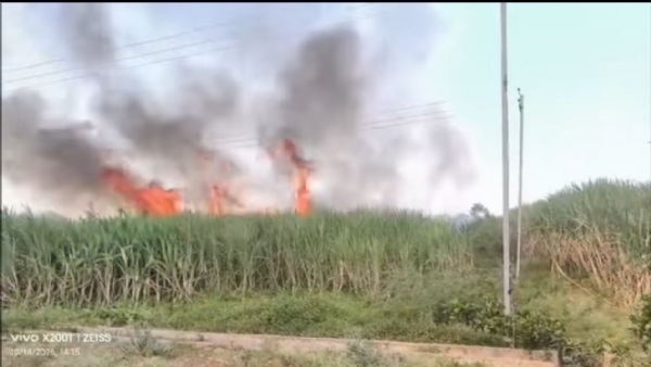 ಬೆಂಕಿಗೆ ಕಬ್ಬು ನಷ್ಟ