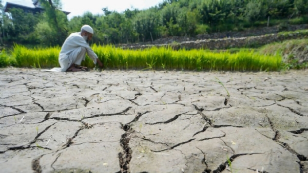 Karnataka Records 32 Percent Rainfall Deficit, Highest Since 1918