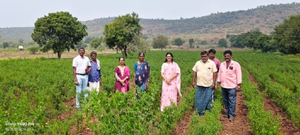 Role of women in agricultural industries important