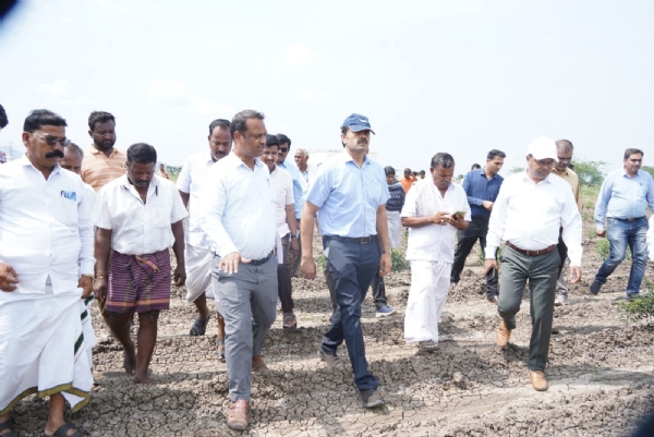 ಬಳ್ಳಾರಿ: ಹಾನಿಗೊಳಗಾದ ಬೆಳೆ ವೀಕ್ಷಿಸಿದ ಜಿಲ್ಲಾ ಉಸ್ತುವಾರಿ ಕಾರ್ಯದರ್ಶಿ ಡಾ. ತ್ರಿಲೋಕಚಂದ್ರ ಕೆ.ವಿ