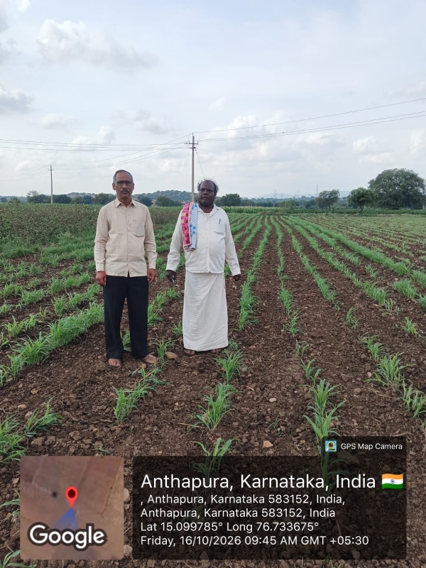 ಬಳ್ಳಾರಿ ಜಿಲ್ಲೆಯಲ್ಲಿ ಬರ : ಜಾನುವಾರು ರಕ್ಷಣೆ ಮತ್ತು ಮೇವು ಪೂರೈಕೆಗೆ ಕ್ರಮ