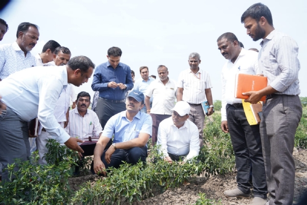 ಬಳ್ಳಾರಿ: ಹಾನಿಗೊಳಗಾದ ಬೆಳೆ ವೀಕ್ಷಿಸಿದ ಜಿಲ್ಲಾ ಉಸ್ತುವಾರಿ ಕಾರ್ಯದರ್ಶಿ ಡಾ. ತ್ರಿಲೋಕಚಂದ್ರ ಕೆ.ವಿ