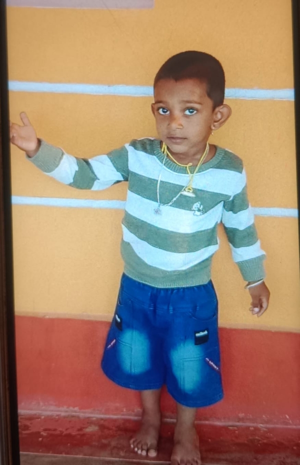 mandya-ayudha-puja-tragedy-four-year-old-boy-dies-after-being-hit-by-car