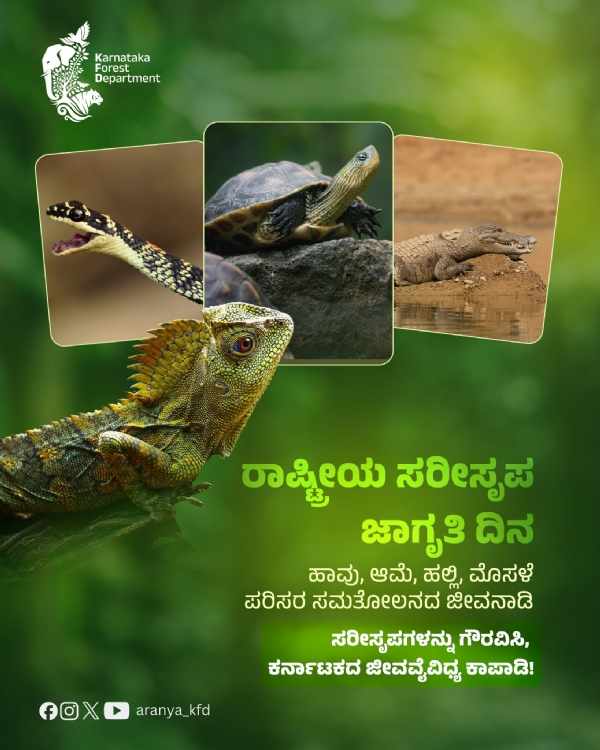 ಅರಣ್ಯ ಇಲಾಖೆ ಸಾಮಾಜಿಕ ಮಾಧ್ಯಮದಲ್ಲಿ ಹಂಚಿಕೊಂಡಿರುವ ಚಿತ್ರ