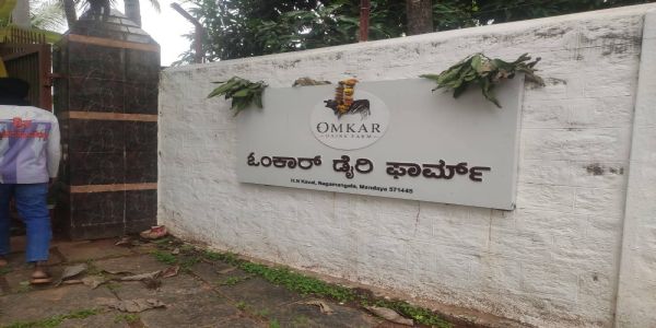 ತೆಂಗಿನಕಾಯಿ ಕೀಳುವಾಗ ವಿದ್ಯುತ್ ಸ್ಪರ್ಶ: ಕಾರ್ಮಿಕ ಸಾವು