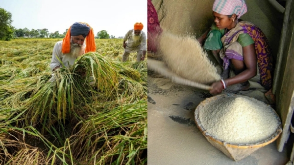 Karnataka-Rice-Prices-Surge-30-Percent-in-Four-Months-Sona-Masuri-Rice-Costlier