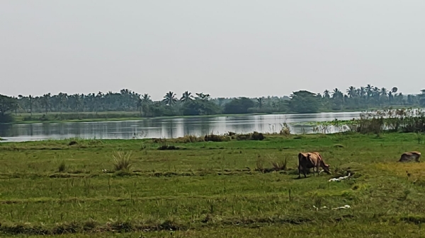 Davangere Lake Encroachment Davangere Lake Encroachment