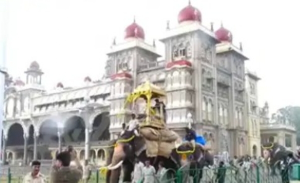 mysore-dasara-2026-dhananjaya-elephant-likely-to-carry-golden-howdah