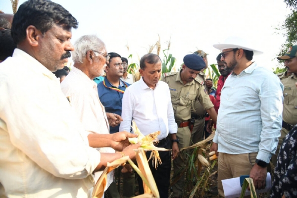 ಕೇಂದ್ರ ಅಧ್ಯಯನ ತಂಡ ಭಾನುವಾರ ದಾವಣಗೆರೆ ಜಿಲ್ಲೆಗೆ ಭೇಟಿ ನೀಡಿ ಬರ ಪರಿಸ್ಥಿತಿಯನ್ನು ಪರಿಶೀಲಿಸಿತು.