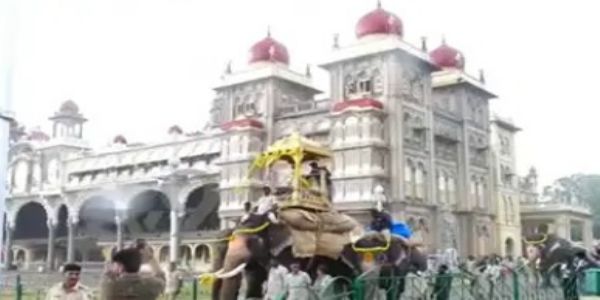 ಮೈಸೂರು ದಸರಾ 2026: ಚಿನ್ನದ ಅಂಬಾರಿ ಹೊರುವ ಆನೆ ಆಯ್ಕೆ ಬಹುತೇಕ ಅಂತಿಮ; ಧನಂಜಯನತ್ತ ಅರಣ್ಯ ಇಲಾಖೆ ಚಿತ್ತ