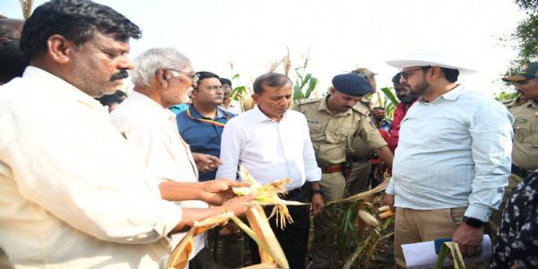 ದಾವಣಗೆರೆ ಜಿಲ್ಲೆಯಲ್ಲಿ ಶೇ.39ರಷ್ಟು ಮಳೆ ಕೊರತೆ: ಕೇಂದ್ರ ಬರ ಅಧ್ಯಯನ ತಂಡ ಪರಿಶೀಲನೆ