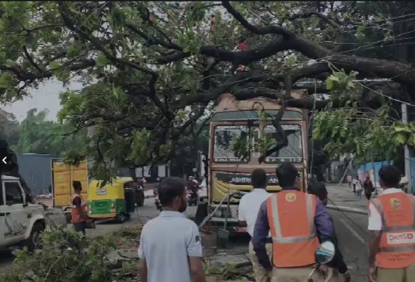 gorguntepalya-signal-tree-falls-on-lorry-cleared-by-gba-traffic-police