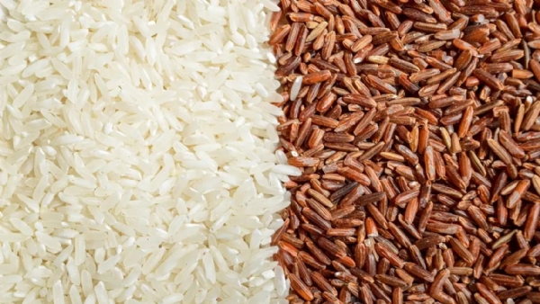 rice-price-hike-karnataka-fourth-time-in-four-months rice-price-hike-karnataka-fourth-time-in-four-months