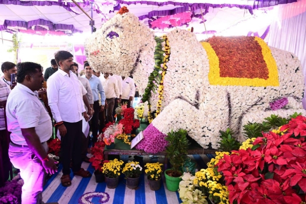 ಕುರುಗೋಡು ಉತ್ಸವ: ಜನಾಕರ್ಷಿಸಿದ ಮಳಿಗೆಗಳು