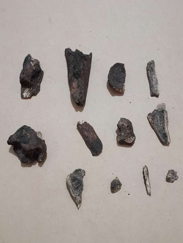 ಫೋಟೋ ಫೋಟೋ