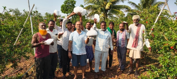 ಕ್ಅಪ್ಲಾಸ್