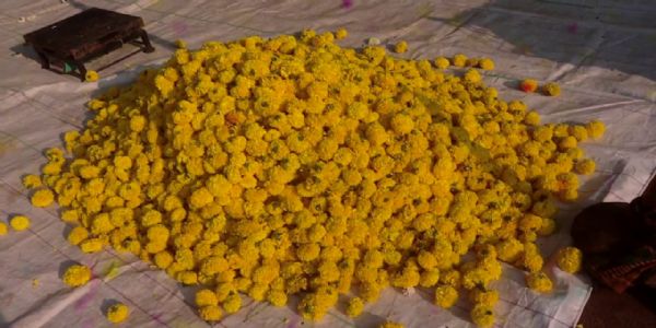 ಅಕಾಲಿಕ ಮಳೆಯ ಅಬ್ಬರಕ್ಕೆ ಗದಗ ಹೂ ಮಾರುಕಟ್ಟೆ ಮಂಕು