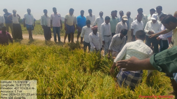 ಕುರುಗೋಡು: ಬೆಳೆಹಾನಿ ಪ್ರದೇಶಗಳಿಗೆ ಜಿಲ್ಲಾಧಿಕಾರಿ ನಾಗೇಂದ್ರ ಪ್ರಸಾದ್.ಕೆ ಭೇಟಿ