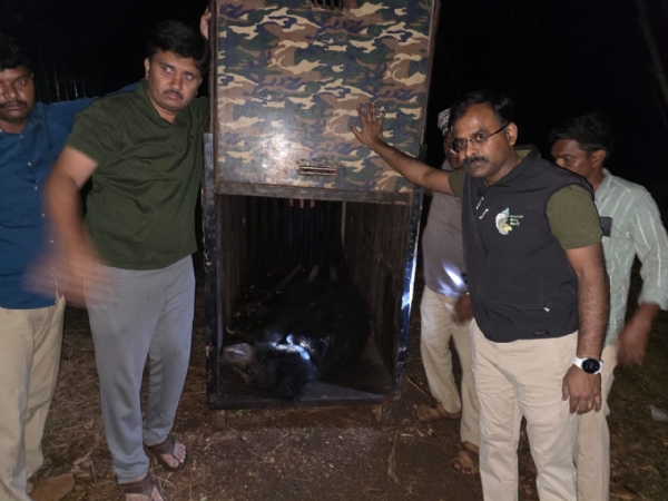 ಜಿಂದಾಲ್ : ಮೂರು ಕರಡಿಗಳ ಯಶಸ್ವಿ ಸೆರೆ