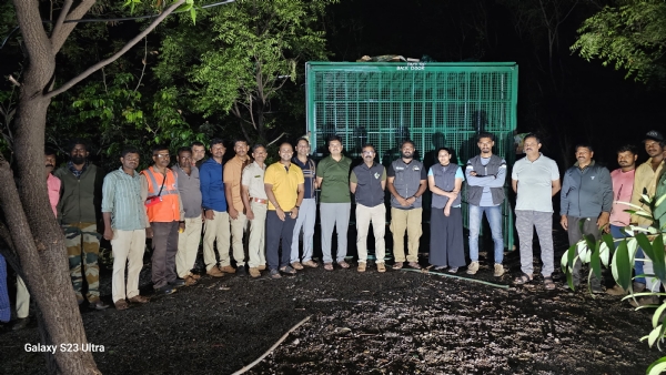 ಜಿಂದಾಲ್ : ಮೂರು ಕರಡಿಗಳ ಯಶಸ್ವಿ ಸೆರೆ