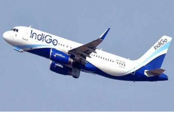 Indigo