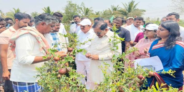 ಅಕಾಲಿಕ ಮಳೆ ಹಾನಿ ಪರಿಶೀಲನೆ: ರೈತರಿಗೆ ಶೀಘ್ರ ಪರಿಹಾರಕ್ಕೆ ಜಿ. ಪರಮೇಶ್ವರ ಸೂಚನೆ