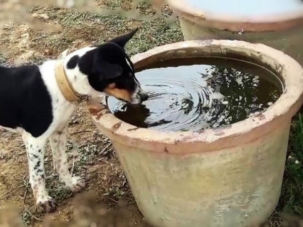 Summer is here, take special care of your health.