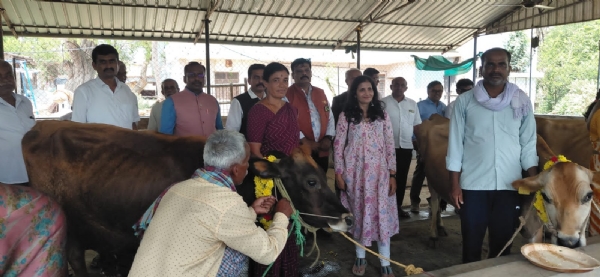 ಕೋಲಾರ ತಾಲ್ಲೂಕಿನ ತುರಾಂಡಹಳ್ಳಿ ಗ್ರಾಮದ ಮಹಿಳೆಯರಿಗೆ ರೋಟರಿ ಸಂಸ್ಥೆಯಿAದ ಉಚಿತವಾಗಿ ಹಸುಗಳನ್ನು ವಿತರಿಸಲಾಯಿತು. ಕೋಲಾರ ತಾಲ್ಲೂಕಿನ ತುರಾಂಡಹಳ್ಳಿ ಗ್ರಾಮದ ಮಹಿಳೆಯರಿಗೆ ರೋಟರಿ ಸಂಸ್ಥೆಯಿAದ ಉಚಿತವಾಗಿ ಹಸುಗಳನ್ನು ವಿತರಿಸಲಾಯಿತು.
