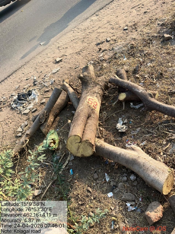 ಮಧ್ಯರಾತ್ರಿ ಮರ ಅಕ್ರಮ ಕಟಾವು: ಗುತ್ತಿಗೆದಾರರ ವಿರುದ್ಧ ಪ್ರಕರಣ ದಾಖಲು ; ಅಧಿಕಾರಿಗಳ ಮೇಲೆ ಹಲ್ಲೆ, ಮೊಬೈಲ್ ಜಪ್ತಿ