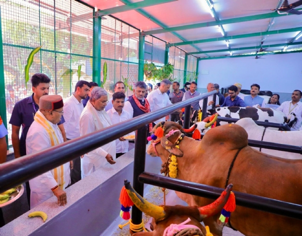 ಉದ್ಘಾಟನೆ